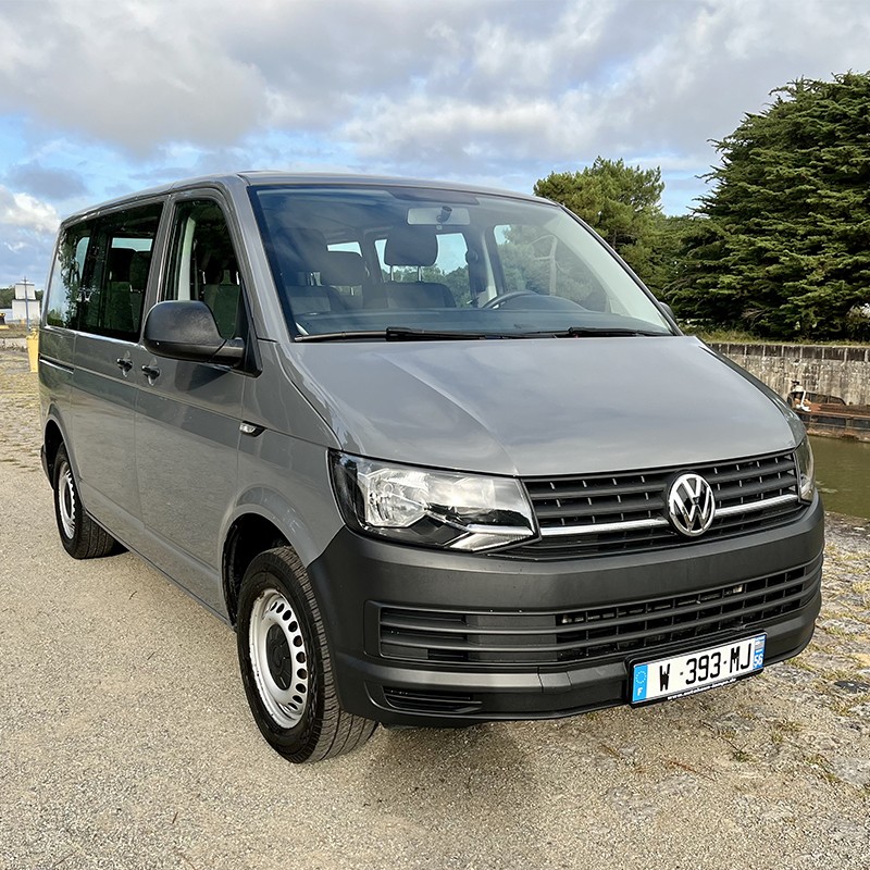 204 T03498 T6 Volkswagen Transporter gris